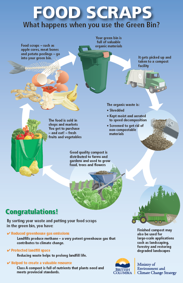 food scraps cycle