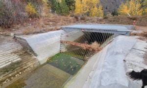 Low Head Siphon Construction August 2021